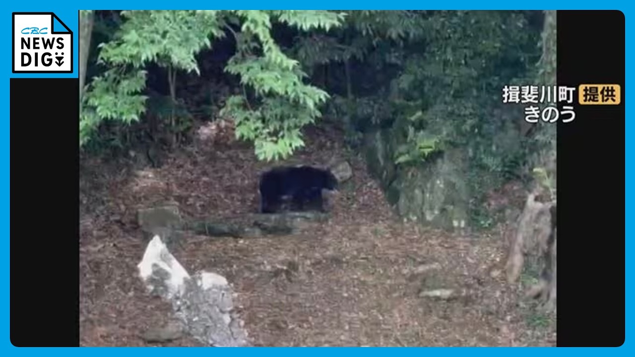 Bear sightings in a park near an elementary school… 218 sightings