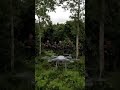 Drone Captures Stunning Views of the Cambodia–Thailand Border #aivideo #shorts