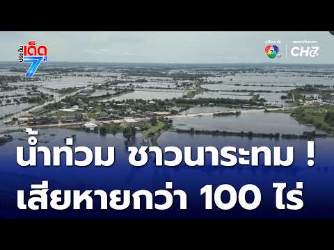 Farmers devastated! Flooding damages over 100 rai of rice fields | Channel 7 News Highlights