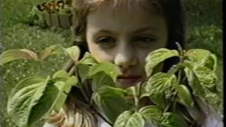 1997 United Way Video – We're All in this Together #12
