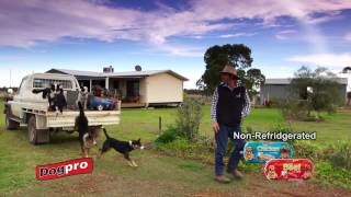DOGPRO DOG ROLL TV COMMERCIAL   CATTLE (30SEC)