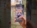 Flagship Phone vs Gaming Phone 😱 What’s the Real Difference?