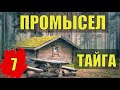 ТАЕЖНЫЙ ТУПИК НАПАДЕНИЕ МЕДВЕДЯ ПРОМЫСЕЛ ТАЙГЕ ОДИН С ЛАЙКОЙ ОДИНОЧЕСТВО ОТШЕЛЬНИКИ ЖИЗНЬ В ЛЕСУ 7