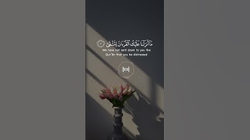 القارئ بدر النفيس || تلاوة هادئة مريحة للقلب