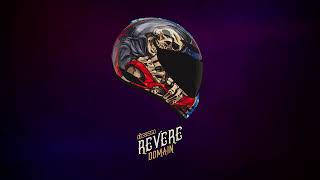 Domain Revere