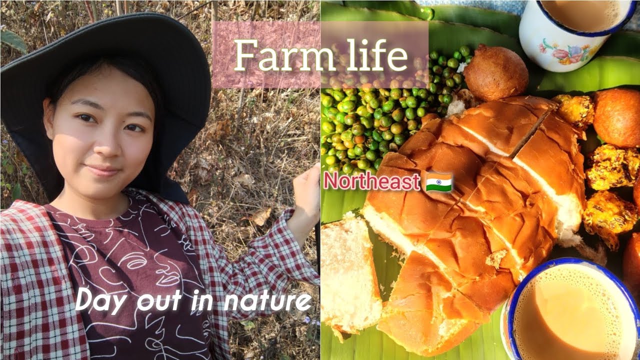 Working in My Field 🌾 | Good Food & Lots of Fun!