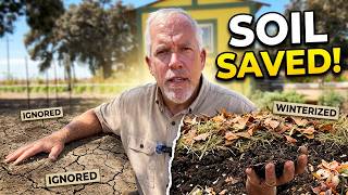 I Ignored My Soil All Winter. Here's What Happened to My Garden in the Spring.