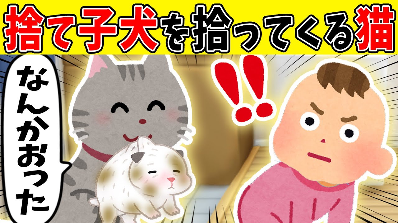 【激変】ウチの猫さんが捨てられた子犬を拾ってきてしまった結果【ゆっくり】