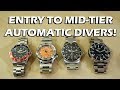Automatic Dive Watch Entry to Mid-Tier Comparison: Invicta, Seiko, Steinhart, Oris - Perth WAtch #71