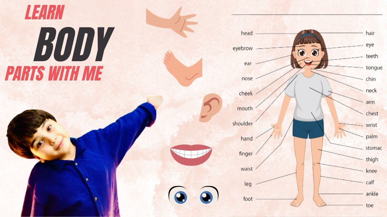 Let's Explore Body Parts | Educational Video for Children | Fun - YouTube