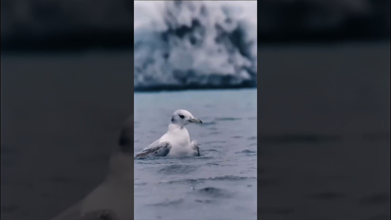 Your daily motivation 🔥  