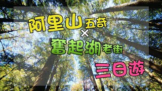 【愛玩美阿里山旅遊行程】阿里山奮起湖豐富三日遊影片