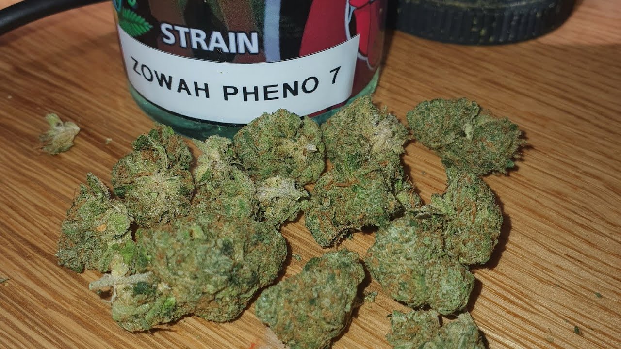 UK taste buds zowah pheno 7 weed review and smoke up cannabis rsosos 420