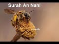 سورة النحل الشيخ عبدالولي الأركاني سورة النحل الشيخ عبدالولي الأركاني