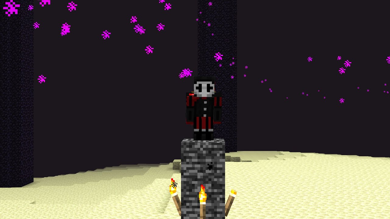 Fighting the ENDER DRAGON with No Armor