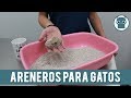 Tips y Consejos De Mantenimiento Para El Arenero De Tu Gato