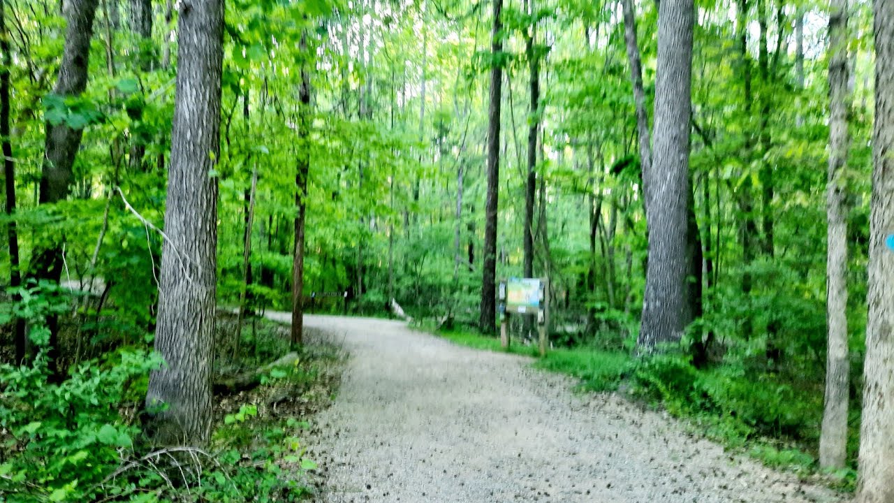 Reedy Creek Park | Charlotte,  NC 