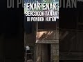 Enak enak || bercocok tanam di pondok hutan - #shorts