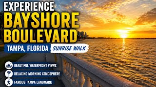 Experience Bayshore Boulevard In Tampa Florida 🌅 | Famous Waterfront Sunrise Walk POV