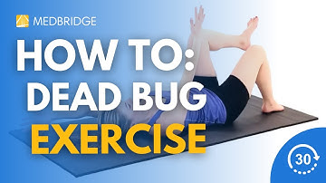 Hoe doe je een oefening met een dood insect? | 30 seconden | Fysiotherapie | MedBridge