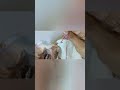 Basic eye making | Handmade| #trending #tailoring #ytshorts #sewing #diy