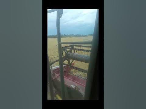 #комбайн #колхоз #комбайнёр - YouTube