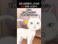 【エモ怖】あたし、化け猫なんだけど2