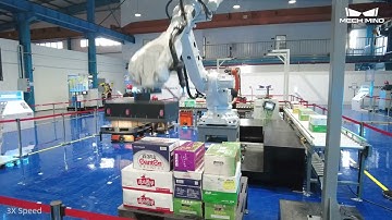 Mech-Mind 3D Camera for Depalletizing and Palletizing application