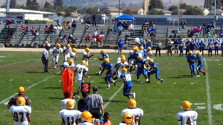 #33 Lesley G. Mcfarland / defense of  tackle / Mis...