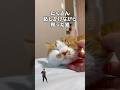 「たくさん話しかけながら育った猫」猫あるある|フルはApple Musicほか音楽アプリへ