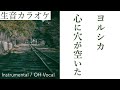 【#生音カラオケ】心に穴が空いた / ヨルシカ【Instrumental / Off Vocal】