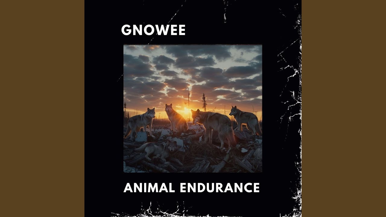 Animal Endurance