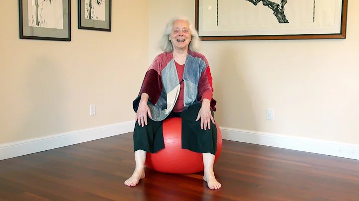 Exploring the Embodiment of Cellular Consciousness...