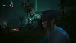 036. Phantom Liberty:  BIRDS WITH BROKEN WINGS(날개가 부러진 새) II