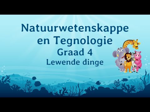 Video: Wat het alle lewende dinge nodig?