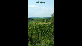 Data Driven vs. Data Informed