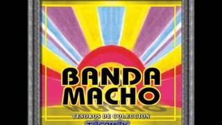 Video thumbnail of "BANDA MACHO POPURRI MEXICANO II.wmv"