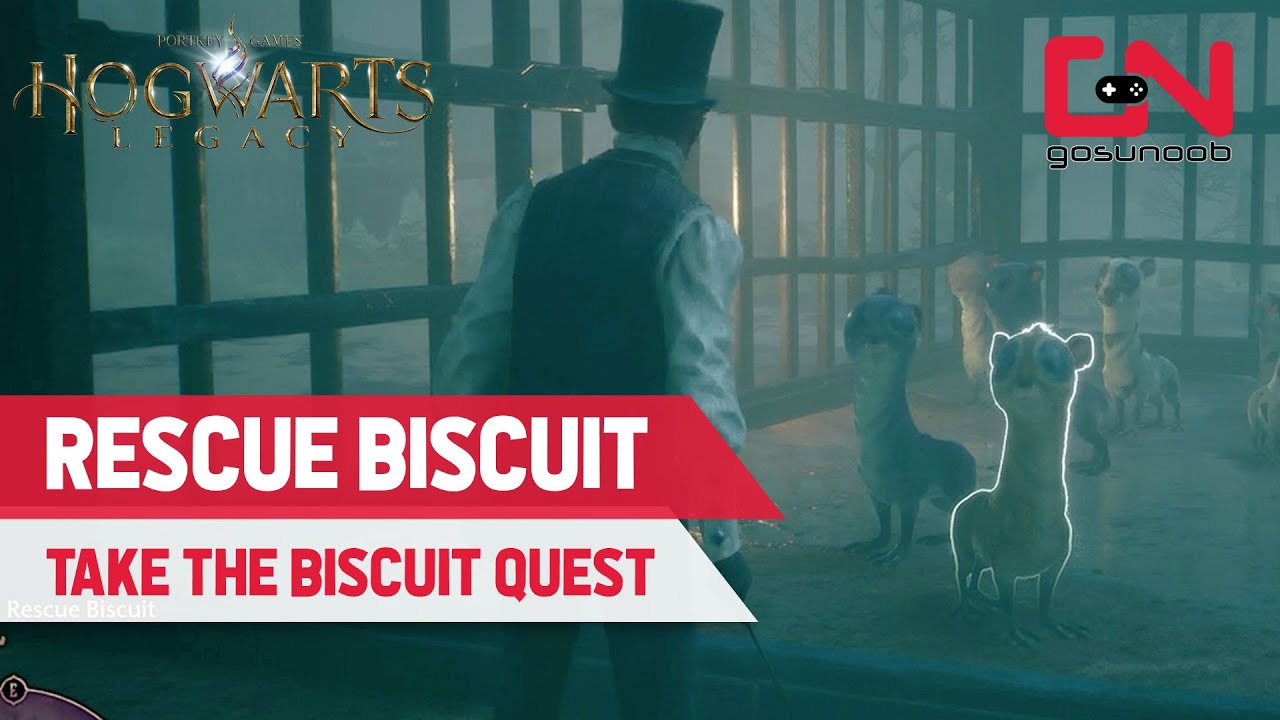 How to Rescue Biscuit Glitch Fix