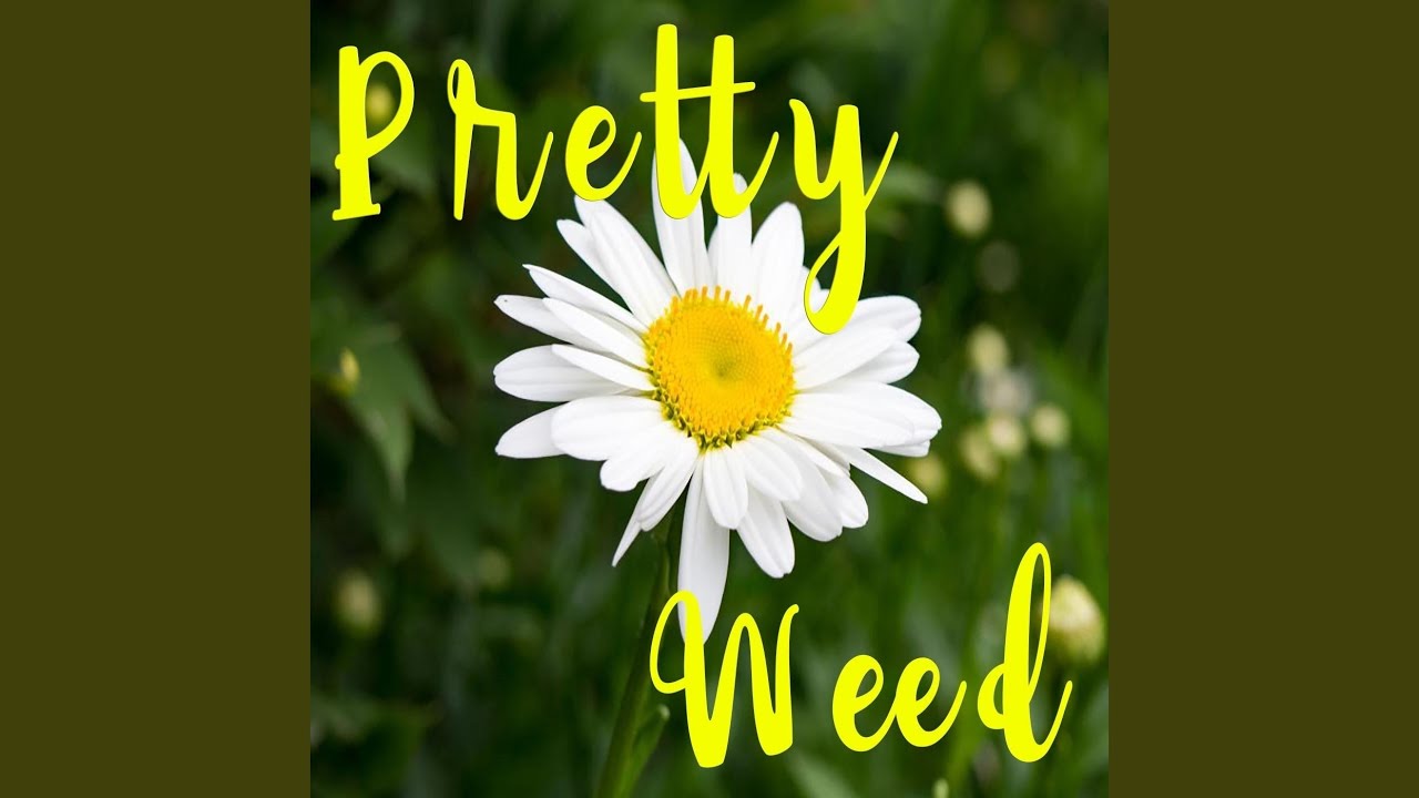 Pretty Weed