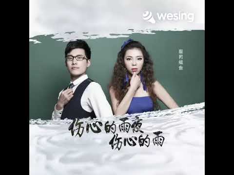 伤心的雨夜伤心的雨(DJ何鹏版)