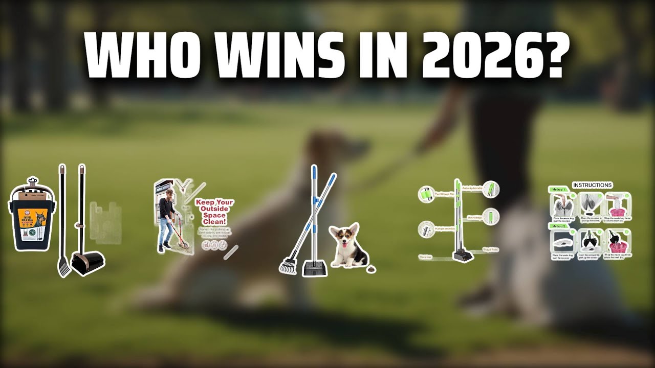 The Top 5 Best Paper Scooper Metal in 2026 - Must Watch Before Buying!