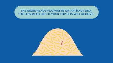 Functional Genomics Screening Tips and Tricks.mp4