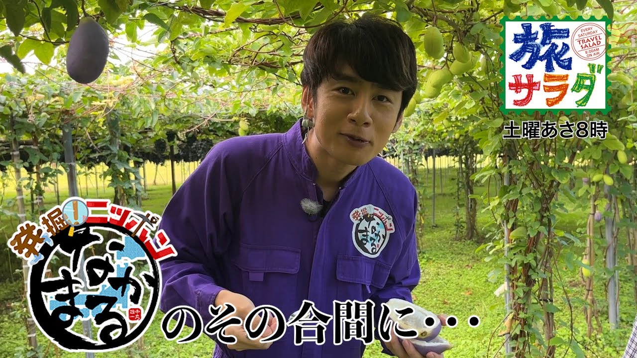 【発掘！ニッポン　なかまる印】のその合間に・・・＃３６