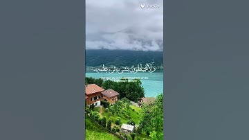 القرآن الكريم #quran #اكسبلور #المصحف #تلاوة_خاشعة #صوت_جميل محب القارئ محمد الفقيه