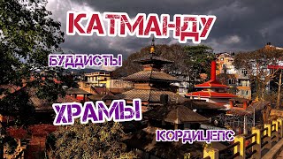 Катманду. Храмы. Буддисты. Кордицепс.