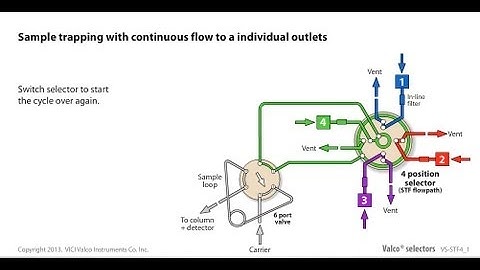 Valco sample trapping with continuous flow to individual outlets