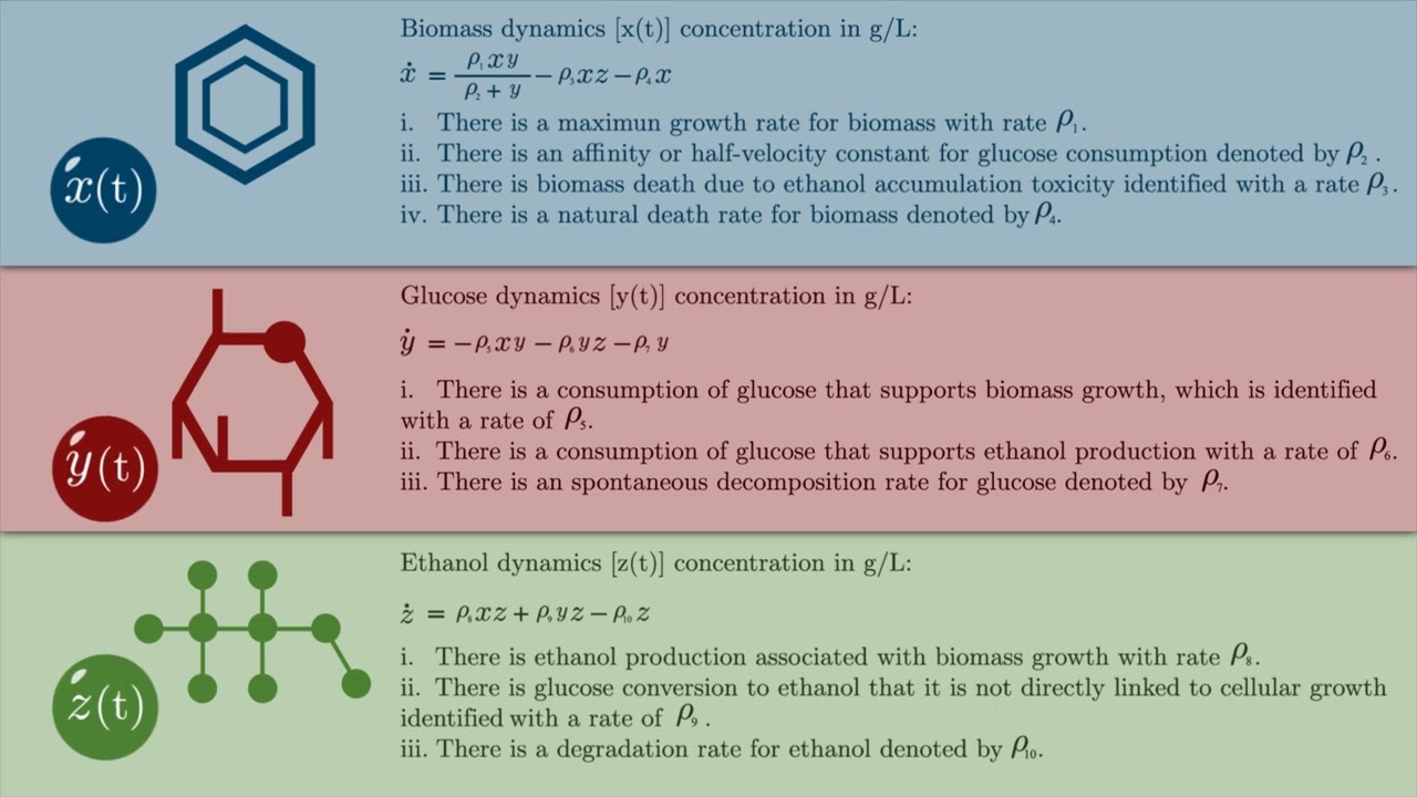 Mechanistic Modelling Biomass-Glucose-Ethanol