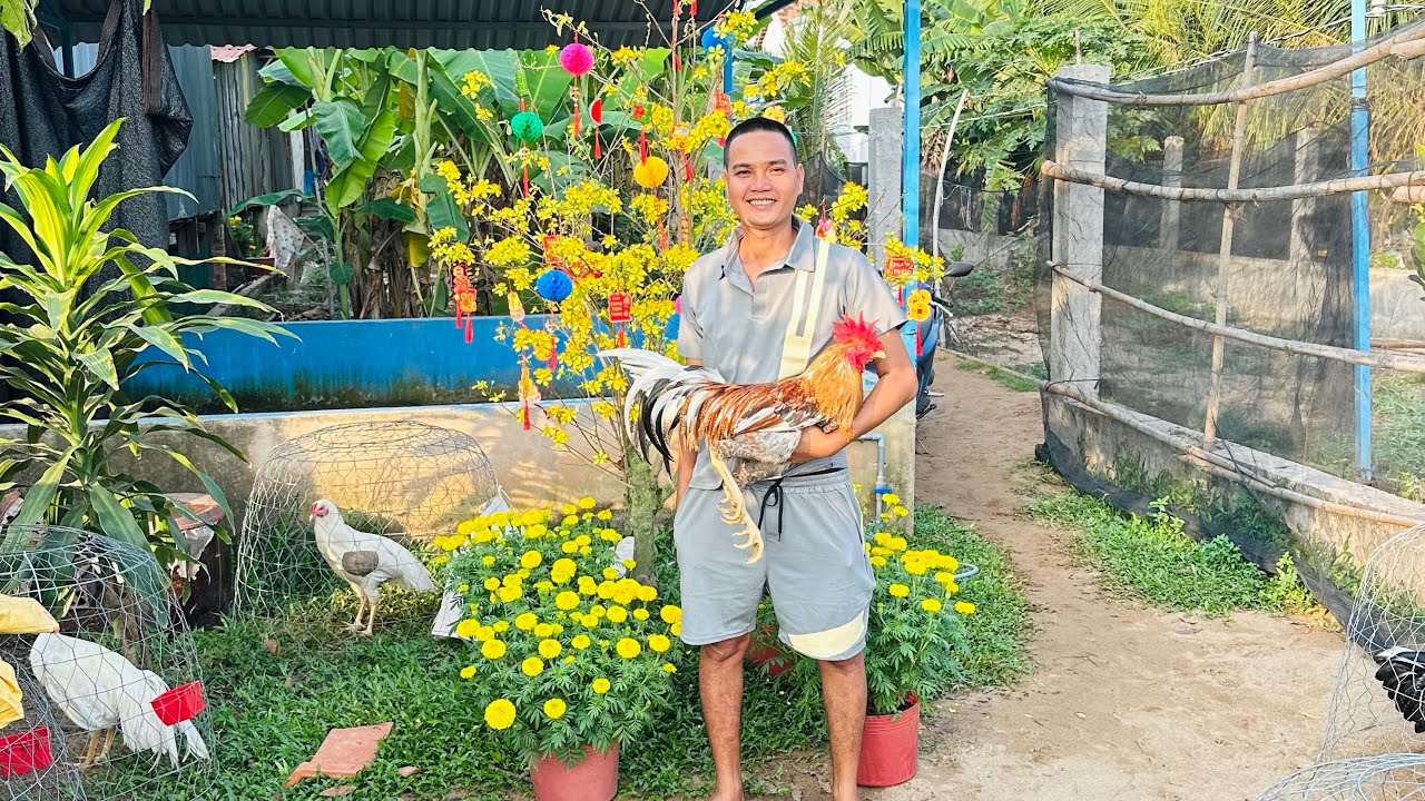 Tốp Những Bé Cuối Năm Đã Chế Độ Phục Vụ Ae Vui Tết 🧧 Năm  Chúc Ae Phát Tài Gia Đình Hanh Luôn Phúc 