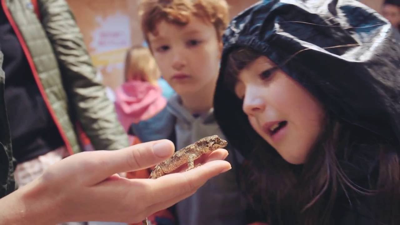 Canon | Environmental Grants 2016 - Intro