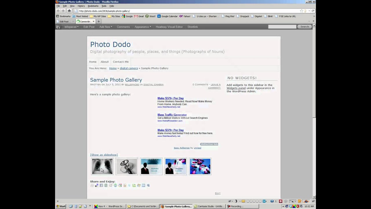 WordPress Photo Gallery Plugins Part 2